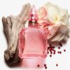 CHARLOTTES DUFTKOLLEKTION DER EMOTIONEN – 4 X 2 ML ENTDECKUNGSSET